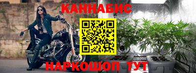 индика Долгопрудный